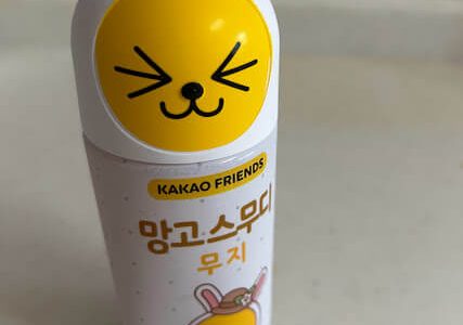 韓国｜お菓子パッケージ  「カカオフレンズ」HOZO